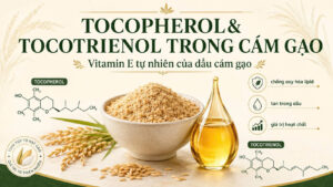 Ảnh minh họa tocopherol và tocotrienol trong cám gạo, với bát cám gạo, giọt dầu cám gạo và biểu tượng cấu trúc vitamin E tự nhiên.