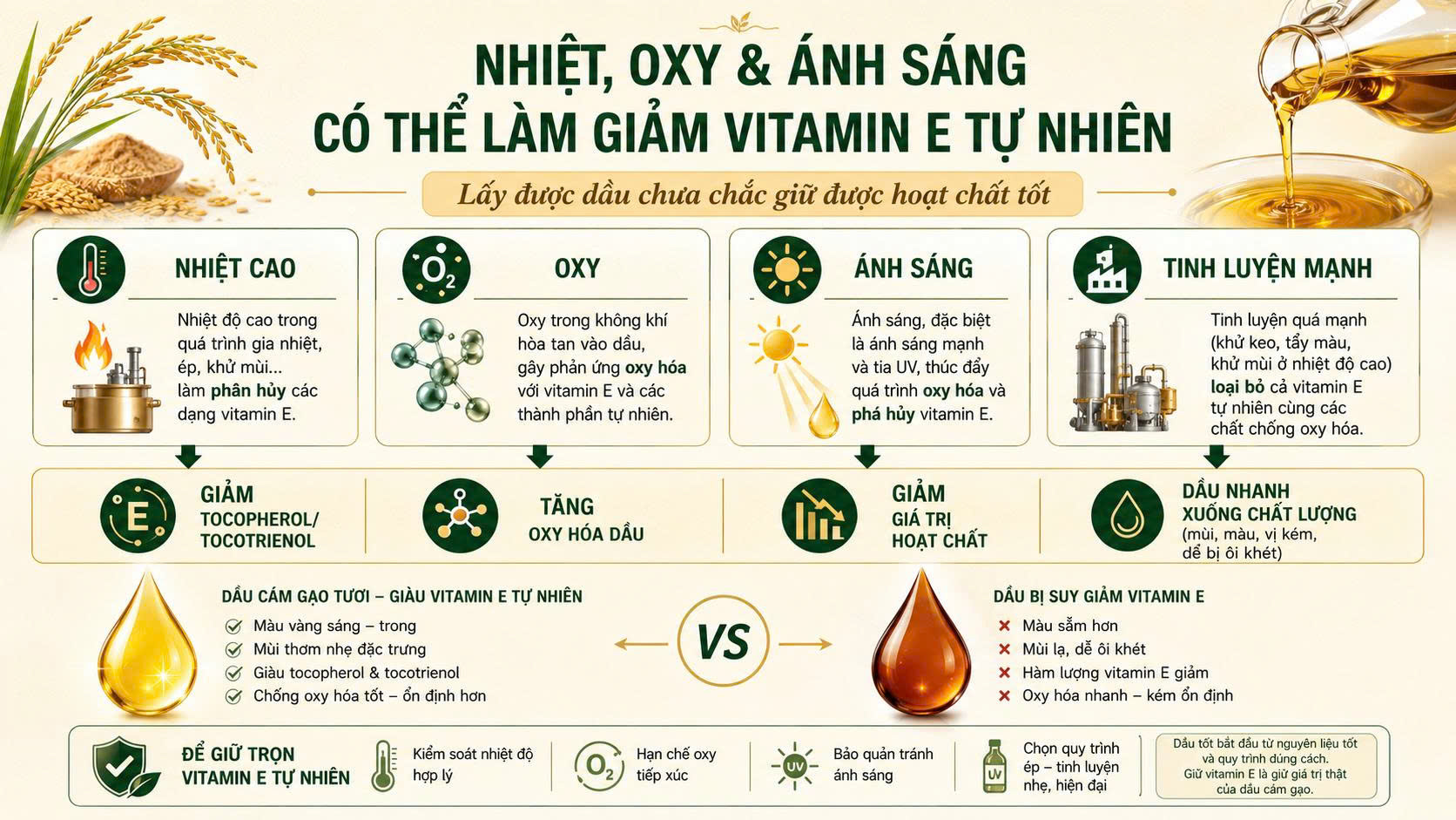 Infographic các yếu tố có thể làm giảm vitamin E tự nhiên trong dầu cám gạo gồm nhiệt cao, oxy, ánh sáng và tinh luyện mạnh.