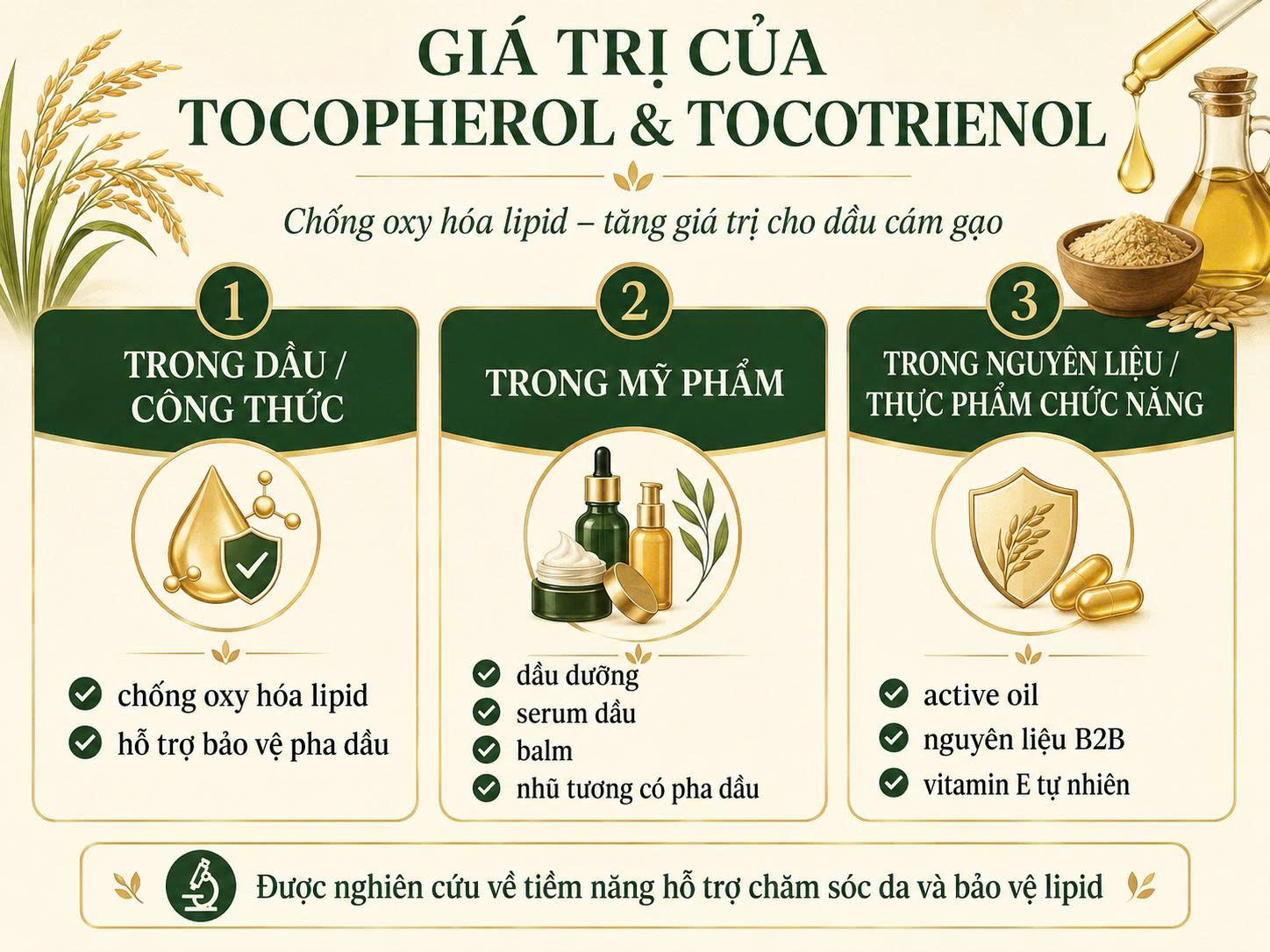 Infographic giá trị của tocopherol và tocotrienol trong dầu cám gạo, gồm chống oxy hóa lipid, ứng dụng trong mỹ phẩm, active oil, nguyên liệu B2B và vitamin E tự nhiên.