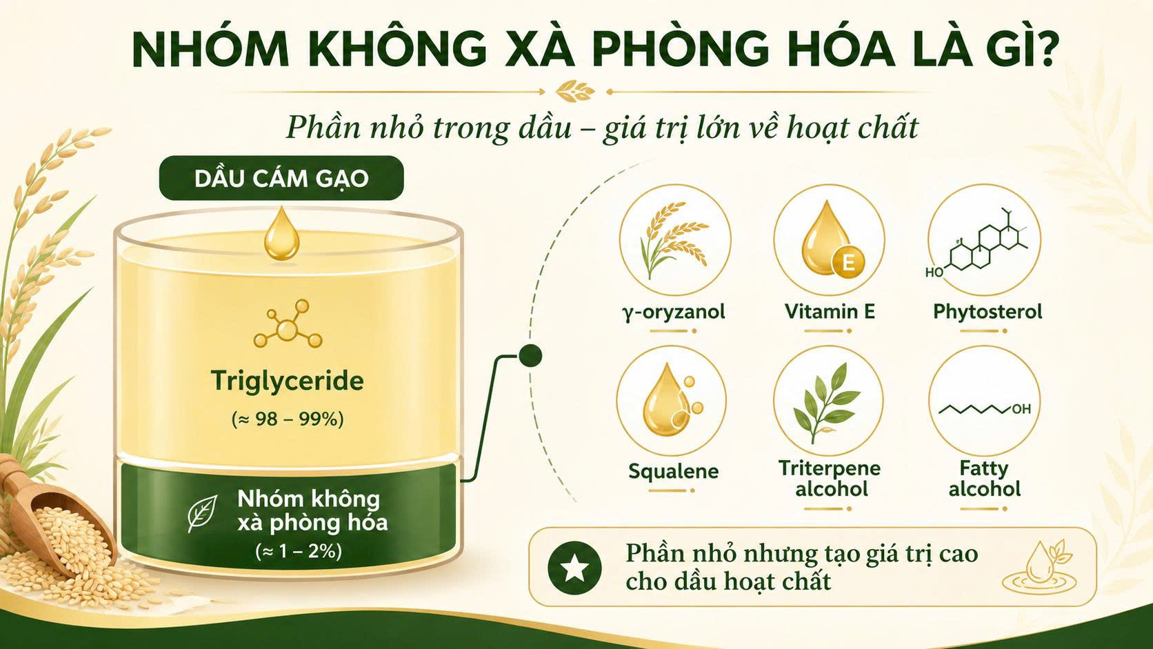 Infographic giải thích nhóm không xà phòng hóa trong dầu cám gạo, gồm gamma oryzanol, vitamin E, phytosterol, squalene, triterpene alcohol và fatty alcohol.