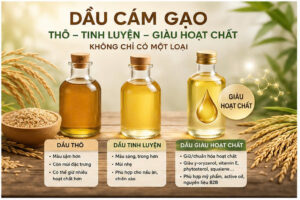 So sánh dầu cám gạo thô, dầu cám gạo tinh luyện và dầu cám gạo giàu hoạt chất về màu sắc, mức xử lý, ứng dụng và khả năng giữ hoạt chất.
