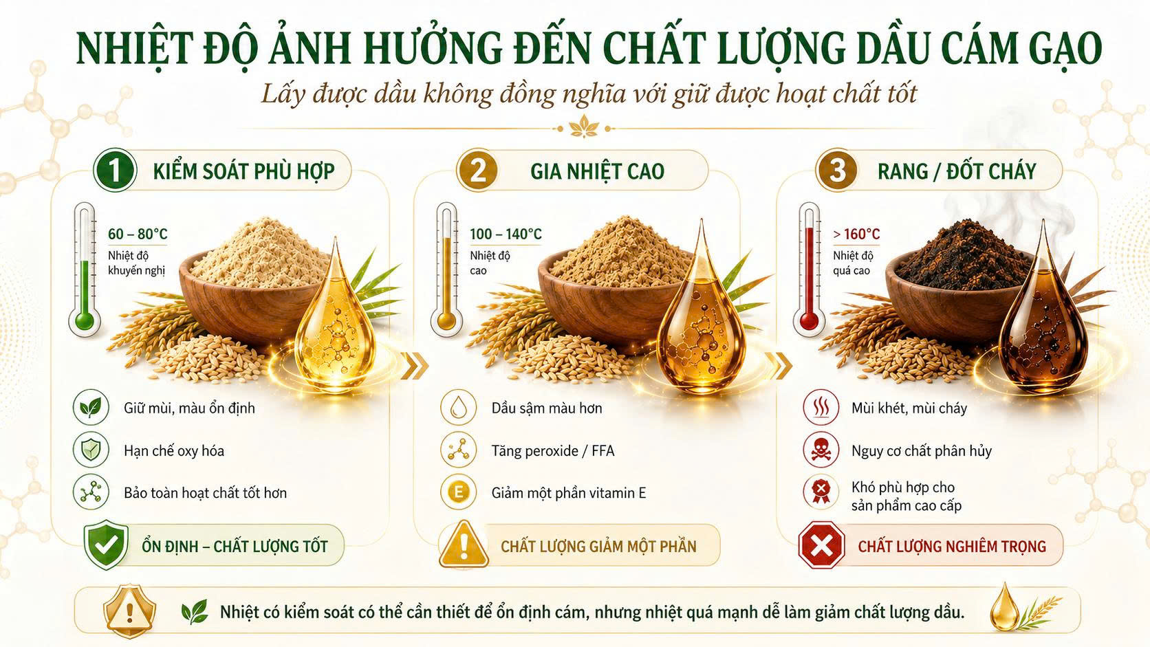 Infographic nhiệt độ ảnh hưởng đến chất lượng dầu cám gạo, so sánh kiểm soát phù hợp, gia nhiệt cao và rang hoặc đốt cháy.
