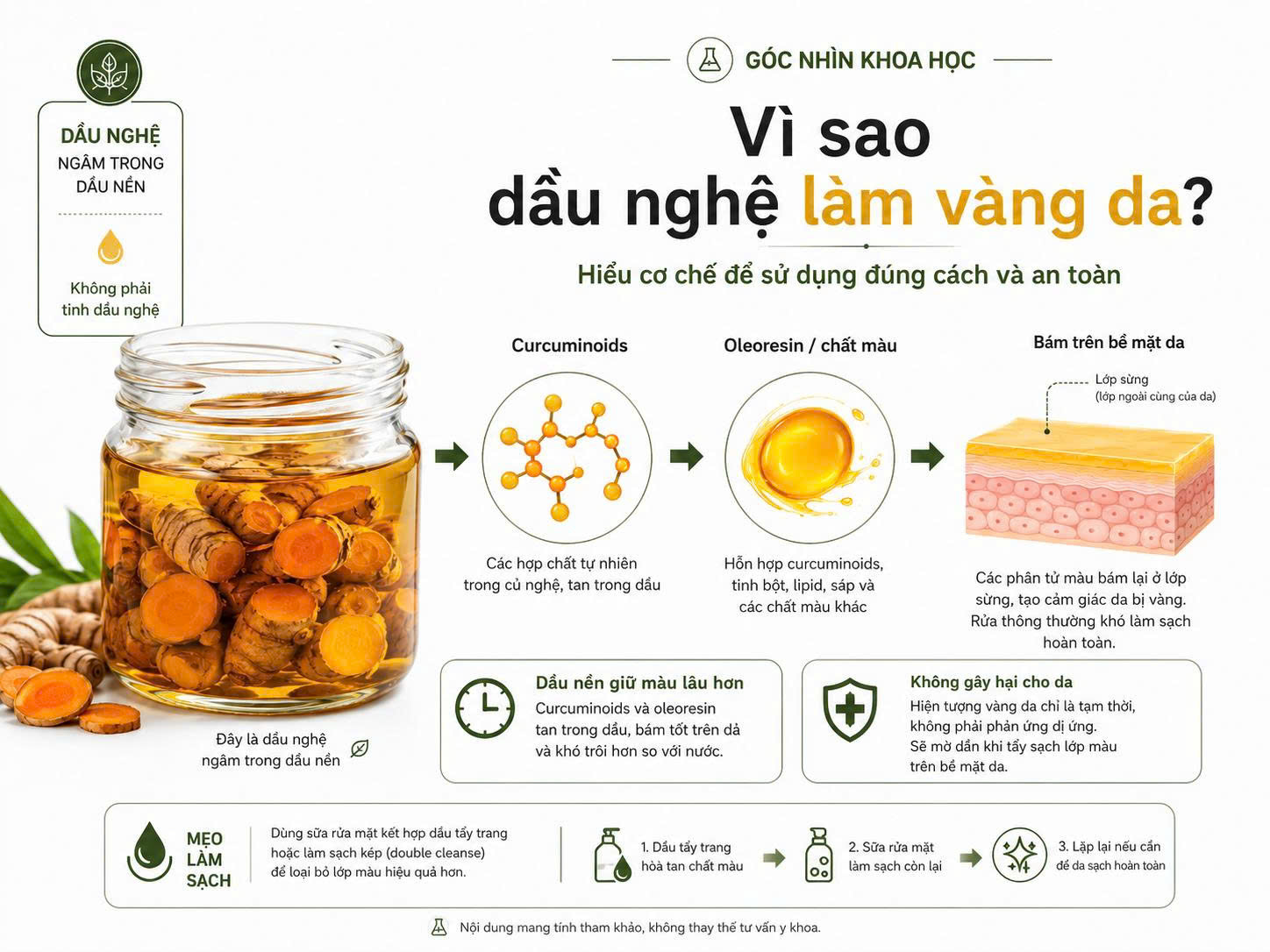 Infographic giải thích vì sao dầu nghệ làm vàng da, từ curcuminoids và oleoresin trong nghệ đến hiện tượng chất màu bám trên lớp sừng.
