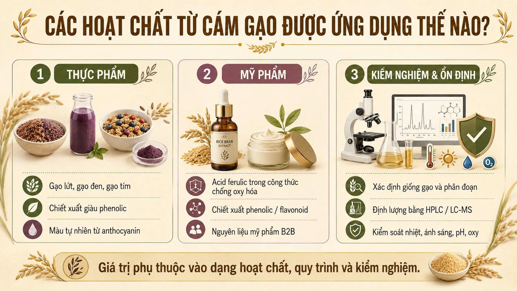 Ba hướng ứng dụng hoạt chất cám gạo trong thực phẩm, mỹ phẩm và kiểm nghiệm, gồm phenolic, flavonoid, anthocyanin và acid ferulic.
