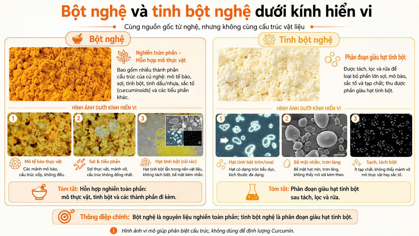 So sánh bột nghệ và tinh bột nghệ dưới kính hiển vi cho thấy sự khác nhau về cấu trúc vật liệu