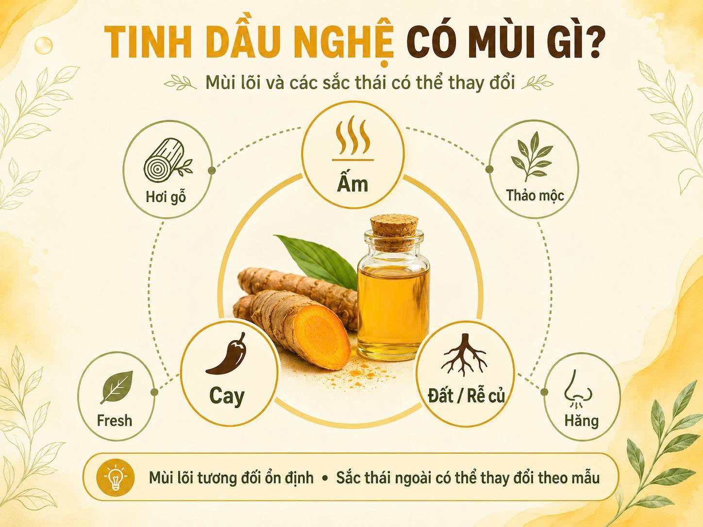 Aroma map minh họa mùi tinh dầu nghệ với ba nét chính là ấm, cay, đất hoặc rễ củ và các sắc thái có thể thay đổi như hơi gỗ, thảo mộc, fresh và hăng.