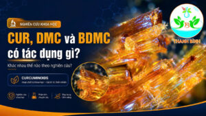 CUR, DMC và BDMC có tác dụng gì – ảnh đại diện bài viết với tinh thể Curcuminoids thực tế Thanh Bình
