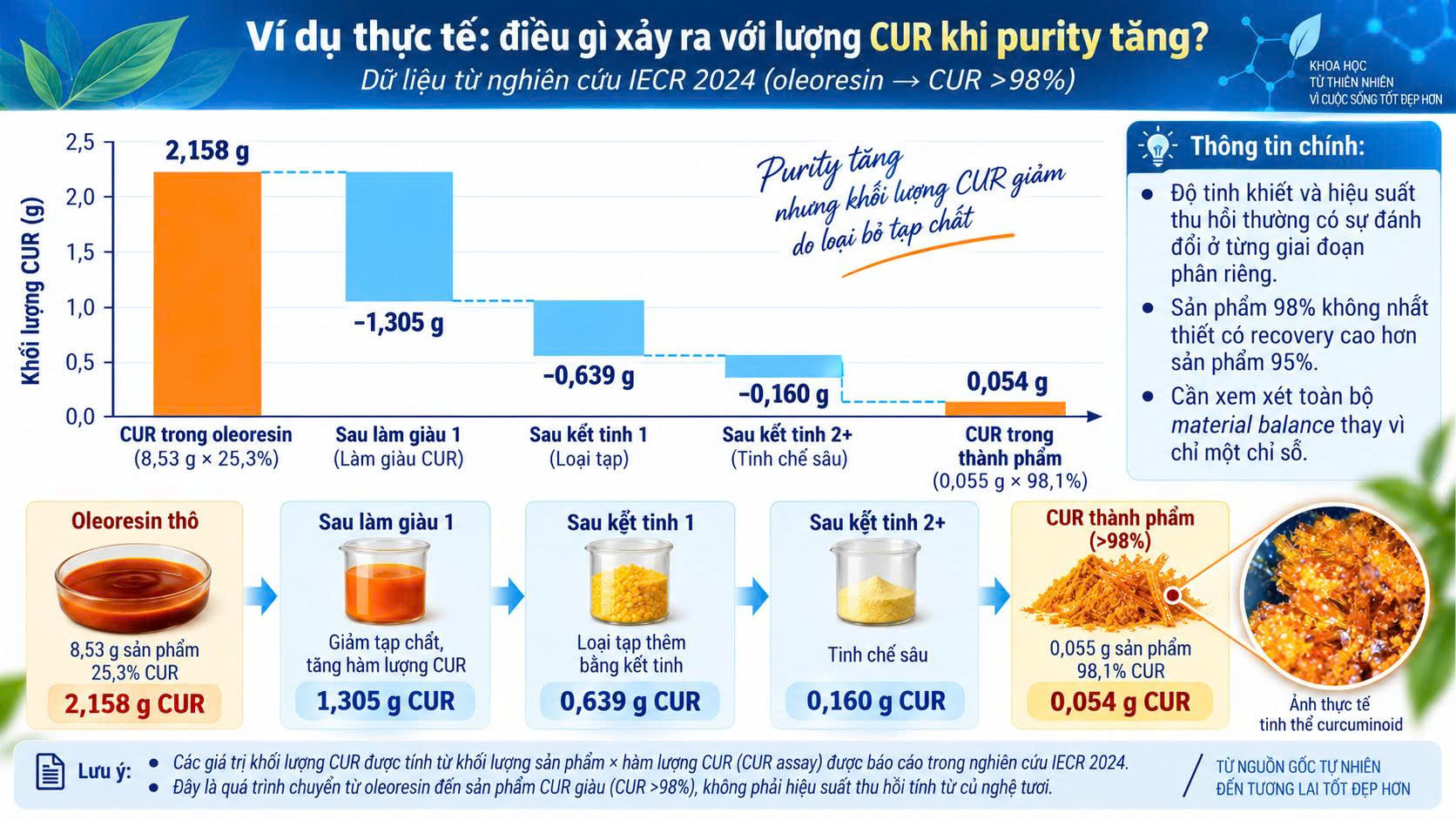 Điều gì xảy ra với lượng CUR khi purity tăng