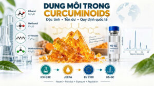 Dung môi trong sản xuất Curcuminoids với ethanol, methanol, n-hexane và dichloromethane, tinh thể Curcuminoids, HS-GC và các framework ICH Q3C, JECFA, EU E100.