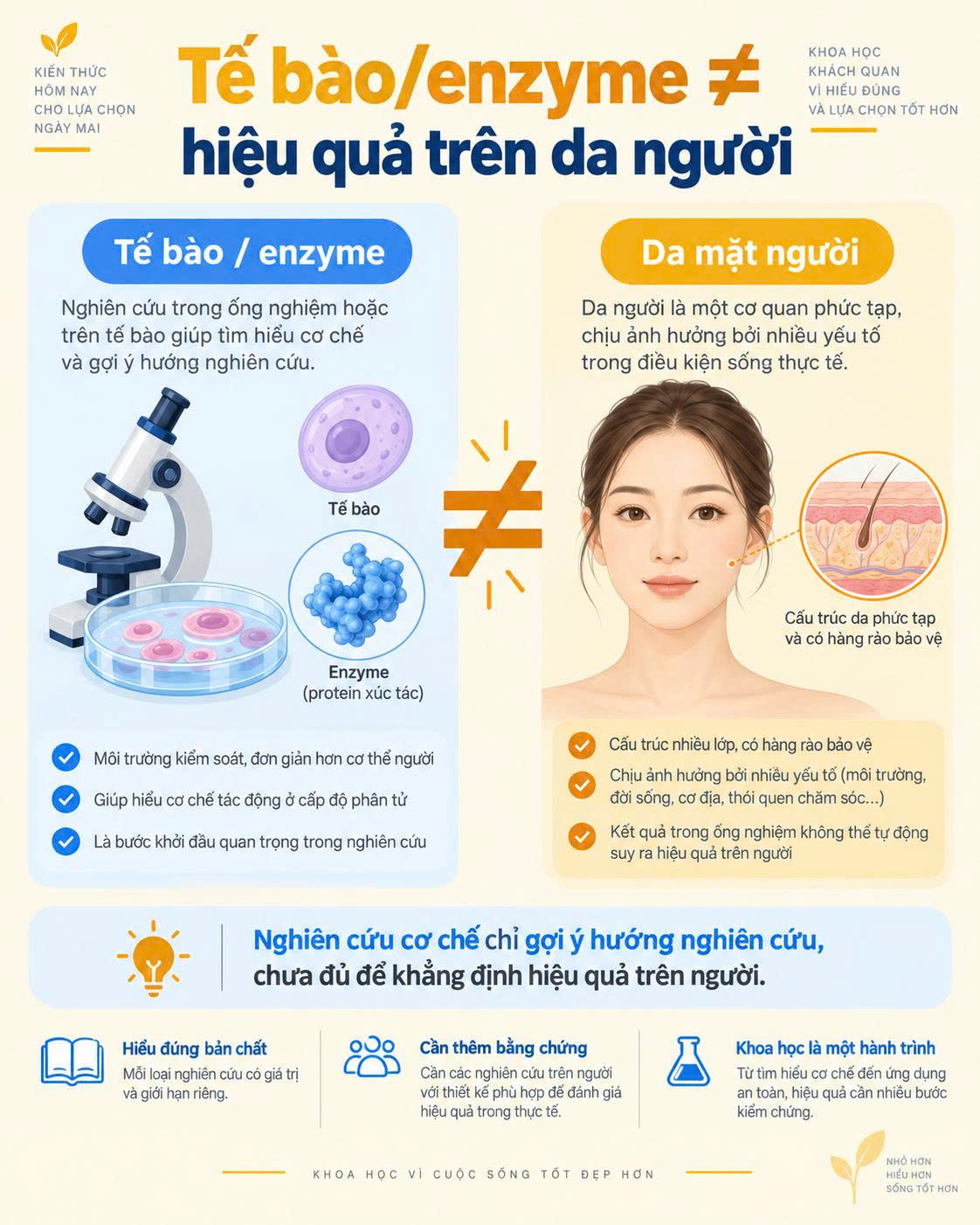Nghiên cứu tế bào enzyme không đồng nghĩa hiệu quả trên da người