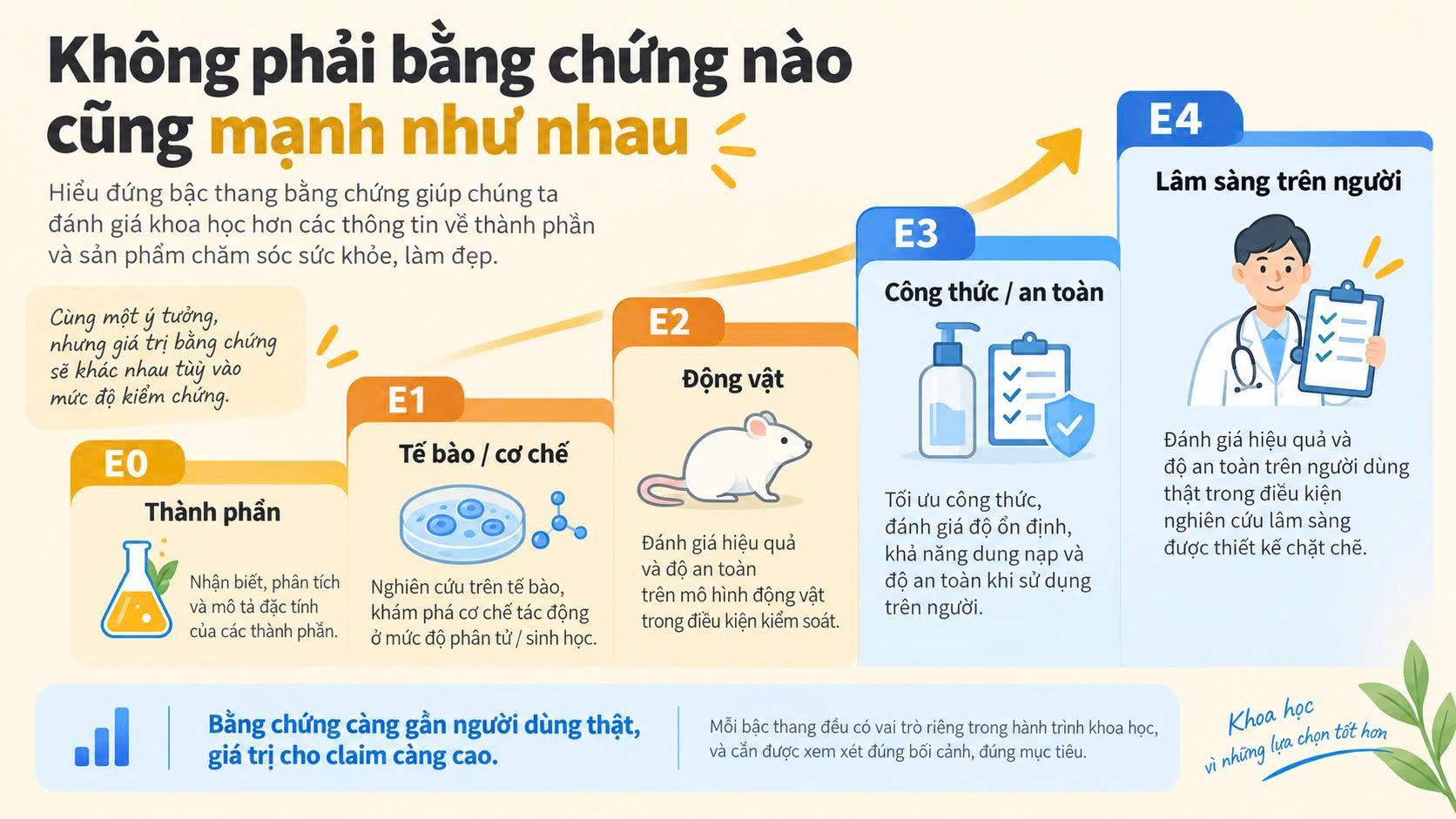 Thang bằng chứng E0 E1 E2 E3 E4 trong nghiên cứu nghệ curcumin và da mặt