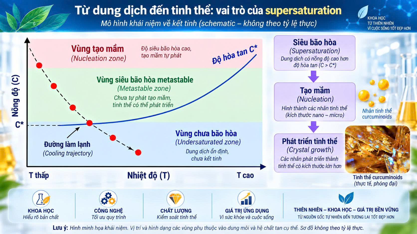 Từ dung dịch đến tinh thể vai trò của supersaturation