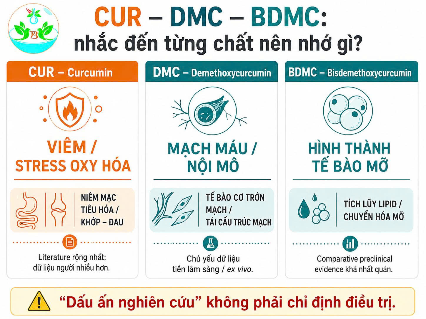 Infographic ba dấu ấn nghiên cứu của CUR DMC và BDMC gồm viêm mạch máu và tế bào mỡ