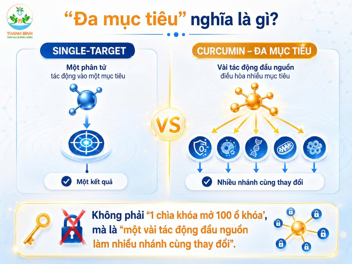 Infographic so sánh single-target và cơ chế đa mục tiêu của Curcumin