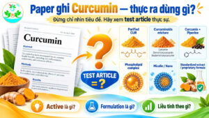 Nghiên cứu ghi Curcumin nhưng test article thực tế có thể là Curcumin tinh khiết Curcuminoids hoặc formulation khác