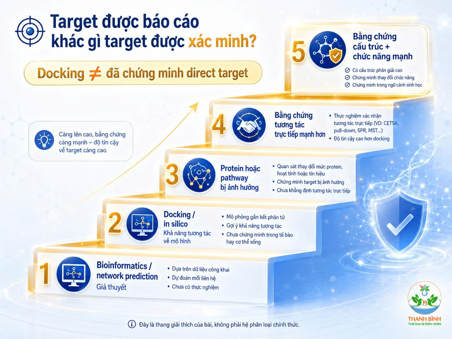 Infographic năm nấc bằng chứng để phân biệt target Curcumin được báo cáo và target được xác minh