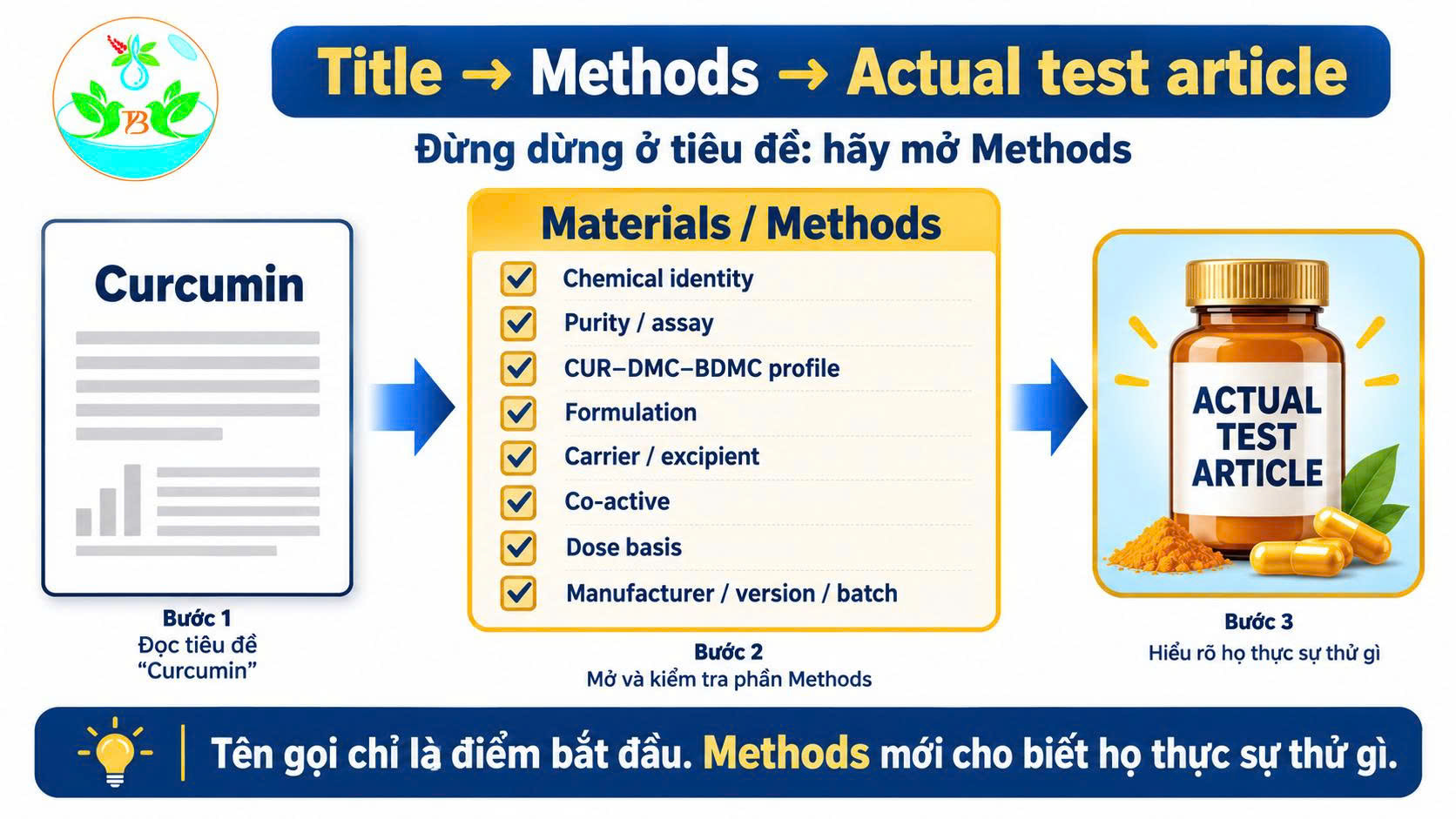 Quy trình đọc nghiên cứu Curcumin từ tiêu đề sang Methods để xác định actual test article