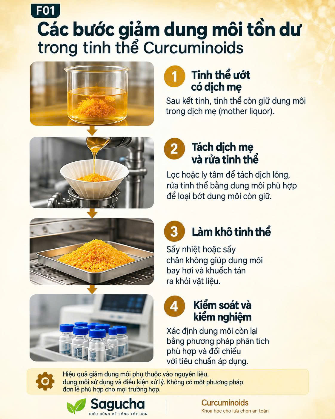 Infographic mô tả các bước giảm dung môi tồn dư trong tinh thể Curcuminoids: khối tinh thể ướt, tách dịch mẹ và rửa tinh thể, sấy hoặc chân không, và kiểm nghiệm dung môi còn lại.