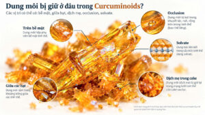 Sơ đồ minh họa các vị trí dung môi có thể bị giữ trong Curcuminoids: trên bề mặt tinh thể, giữa các hạt, trong dịch mẹ của crystal cake, do occlusion và trong cấu trúc tinh thể dưới dạng solvate.
