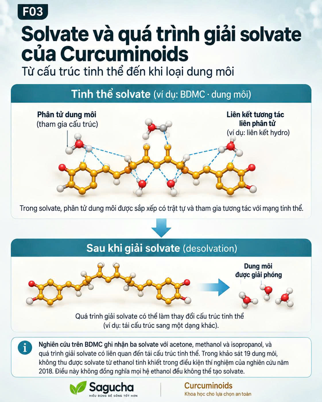 Infographic minh họa dung môi trong solvate và quá trình giải solvate của Curcuminoids, cho thấy dung môi có thể tham gia cấu trúc tinh thể và được giải phóng khi vật liệu tái cấu trúc.