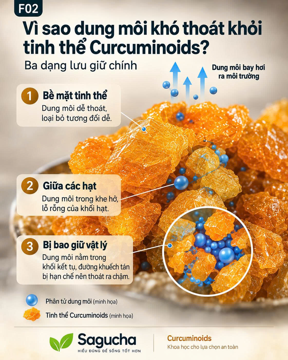 Infographic giải thích ba dạng lưu giữ dung môi trong vật liệu Curcuminoids: trên bề mặt hạt, giữa các hạt và bị bao giữ vật lý trong khối vật liệu.